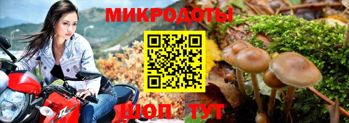Галлюциногенные грибы Cubensis Лесозаводск