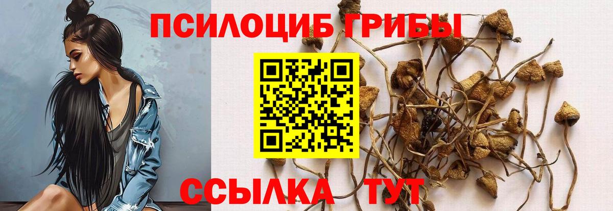 Галлюциногенные грибы Psilocybine cubensis  где купить наркоту  Лесозаводск  Вход с VPN 